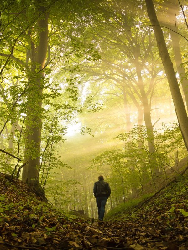 Untitled design (27)